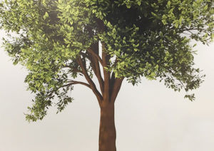 muurprint van boom