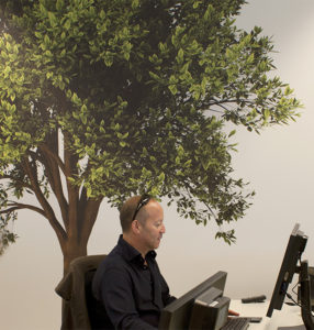 boomprint-op-muur
