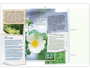 pagina kalender Amstelglorie maand juli