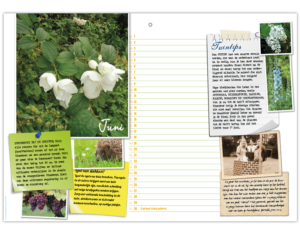 pagina kalender Amstelglorie maand juni