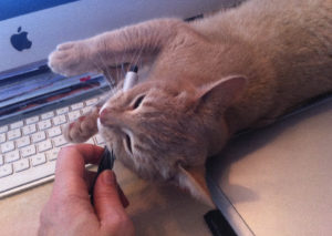 Pip en pen