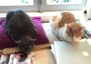Samen op het bureau