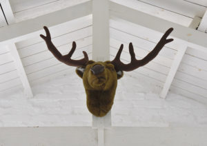 pluche rendier kop hangt aan de balk