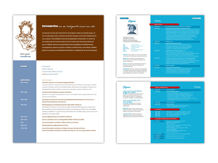 Curriculum Vitae